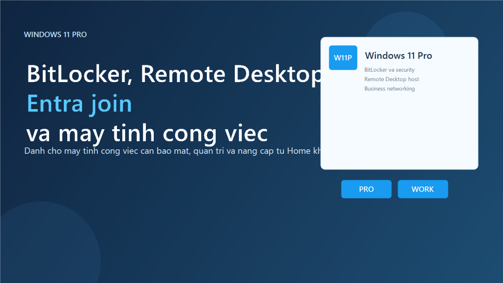Cover Windows 11 Pro cho BitLocker Remote Desktop va may tinh cong viec